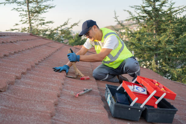Roof Gutter Cleaning in North Terre Haute, IN